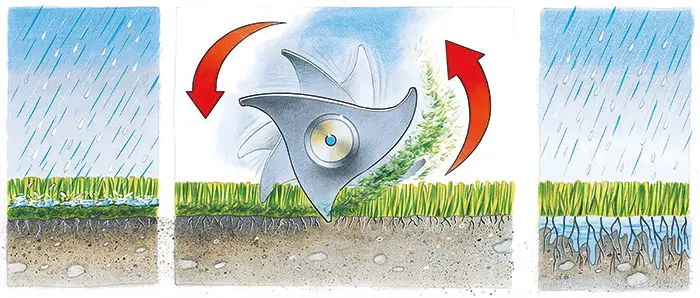 Vorsicht beim Vertikutieren Illustration, was beim Vertikutieren passiert
